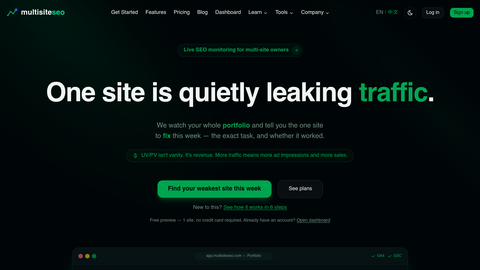 Multi-Site SEO